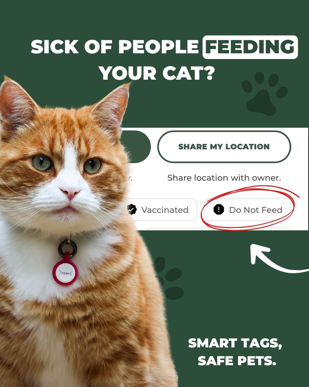 Smart ID Cat Tag - profile features alerts others to stop feeding your cat.