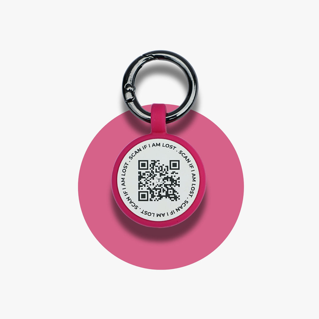 Are QR Code Pet Tags Worth It? (Honest UK Review)