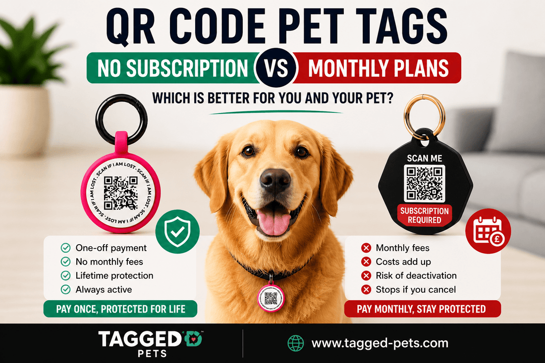 QR Code Pet Tags With No Subscription vs Monthly Plans – Which Is Better? - Tagged Pets