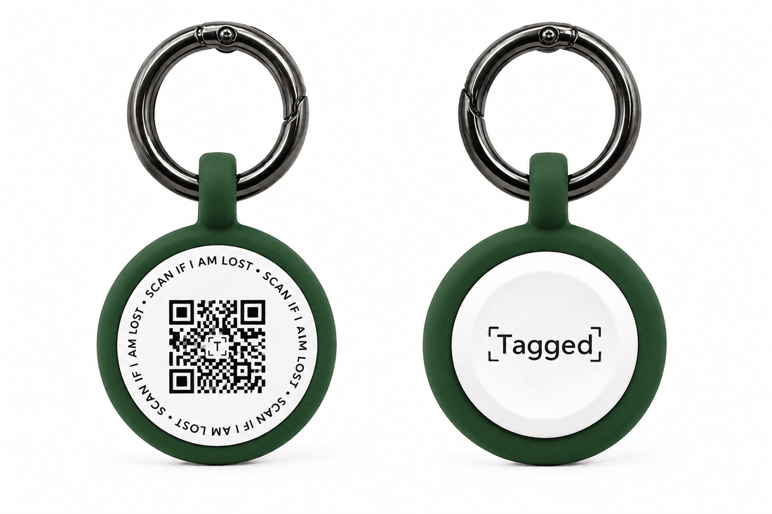 What Happens If Your Dog Has No ID Tag in the UK? - Tagged Pets