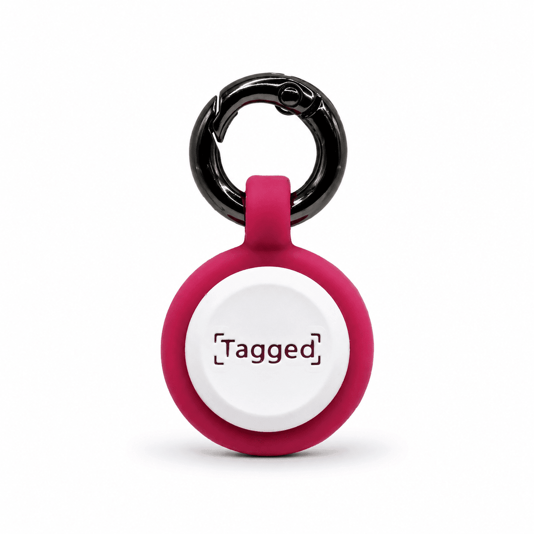 What Information Should Be on a Dog Tag in the UK? (2026 Guide) - Tagged Pets