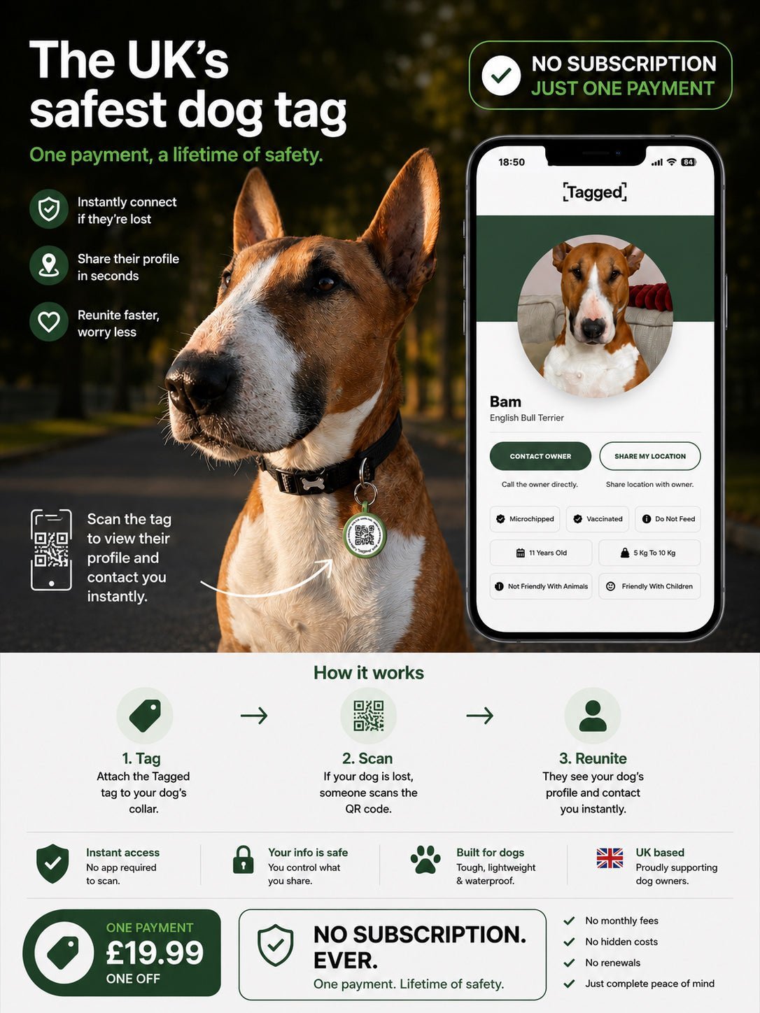 What to Do If Your Dog Goes Missing: A Step-by-Step Guide - Tagged Pets
