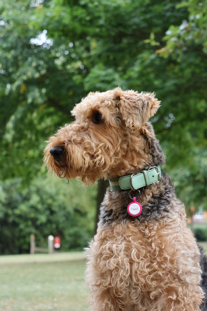 Small Dog Tag  - Pink