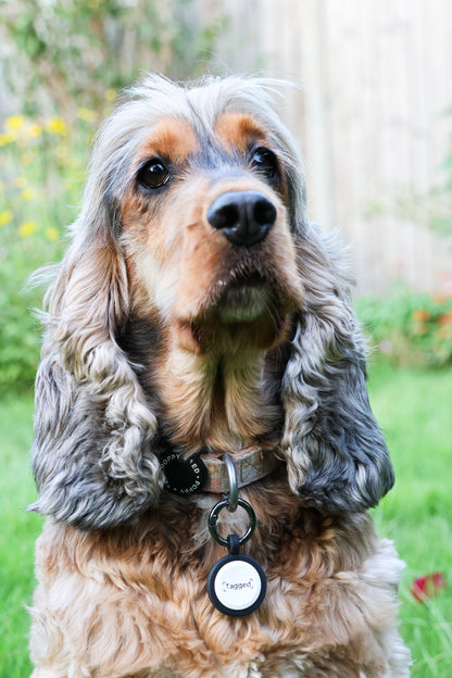 Large Dog Tag - Black