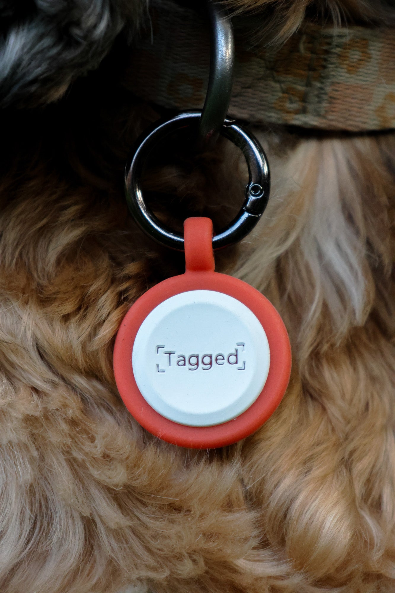 Small Dog Tag - Orange