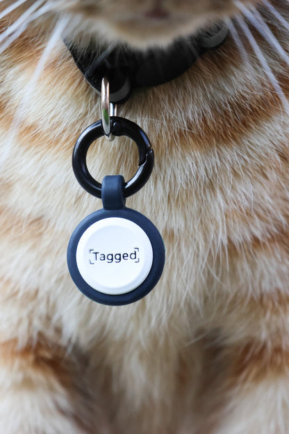 QR Code Cat Tag - Dark Blue - Tagged Pets. Close up of cat wearing small lightweight silicone QR code cat tag.