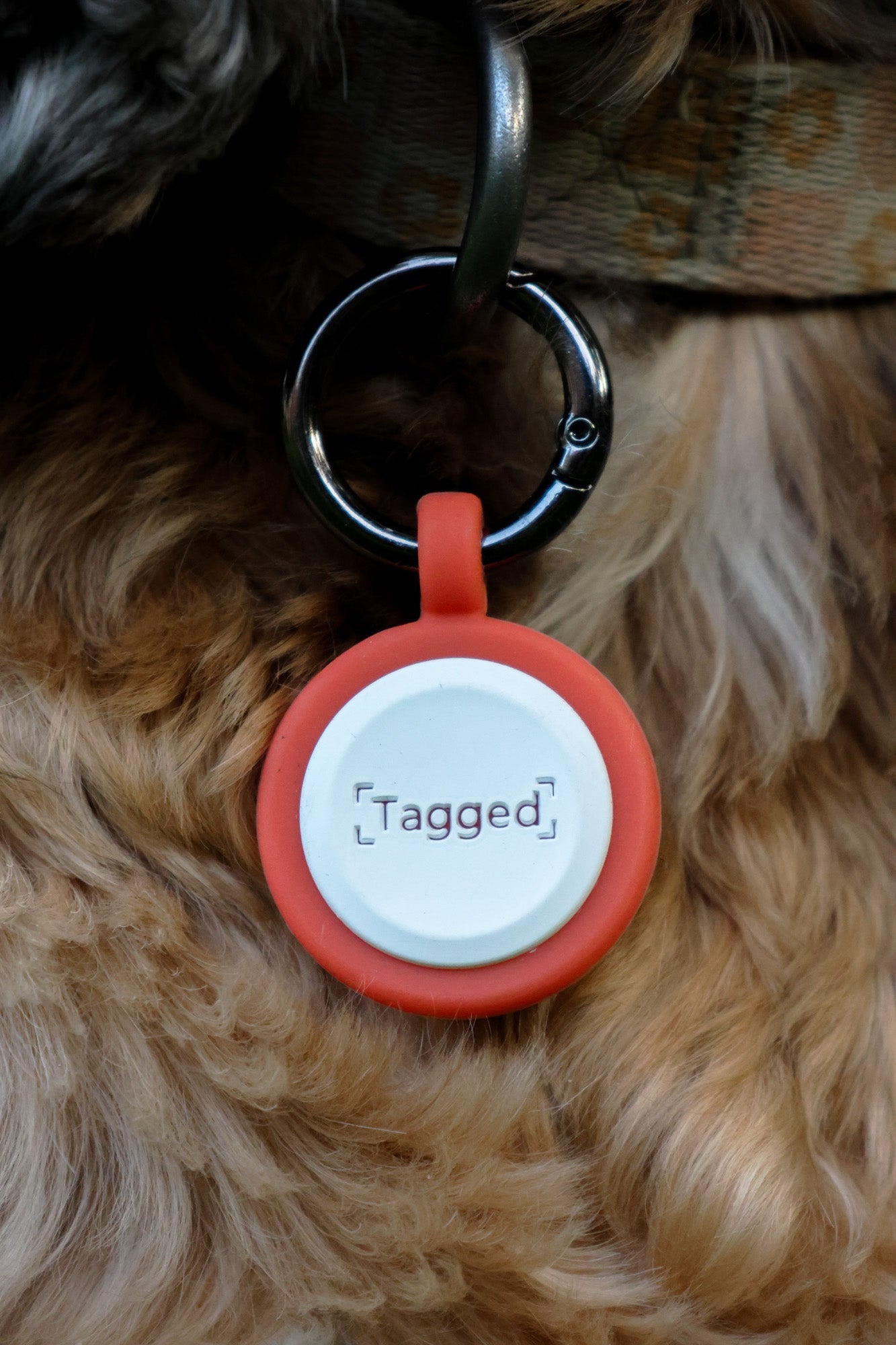 Smart ID Dog Tag - Orange - Tagged engraved silicone, durable and waterproof dog tag.