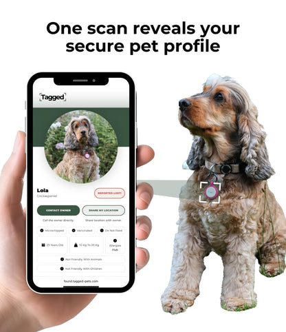 An example of how the Tagged Smart Tag works. One scan of the QR code reveals your secure pet profile.