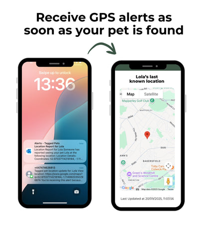 Receive GPS alters as soon as your pet is found.