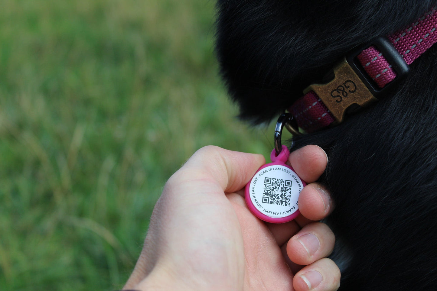 Smart Dog ID Tag - Pink - Tagged Pets. Scan QR Code for GPS alerts & unlimited contact information.